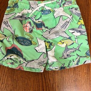Carters Swim Trunks 3t with Shark Print - Green adorable